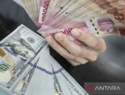 Rupiah Menunjukkan Peningkatan yang Signifikan Dibandingkan dengan Tahun 2019-2020