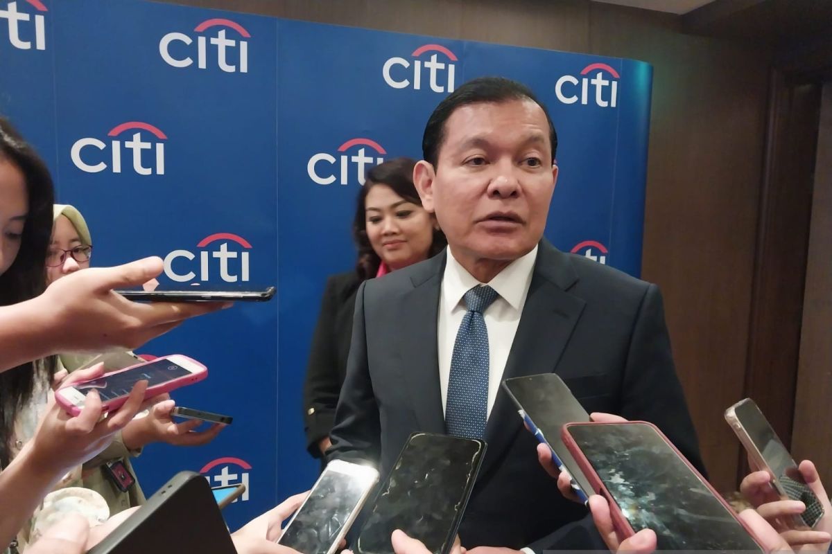 Peningkatan Pembiayaan Hijau: Citi Membahas Upayanya