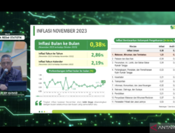 BPS: Cabai merah menjadi komoditas utama penyebab inflasi di bulan November