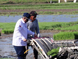 Menteri Pertanian: Penyempurnaan tata niaga beras untuk mengurangi ketergantungan impor