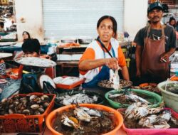 Solusi untuk Paradoks Indonesia: Mengarah ke 100 Tahun Kemerdekaan Indonesia (Meningkatkan Ekonomi Rakyat)