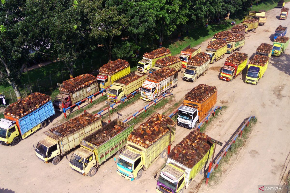 Peningkatan Nilai Tambah Sektor Pangan dan Mineral untuk Mendorong Pertumbuhan Ekonomi