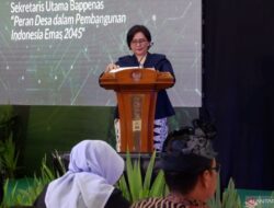 Bappenas menguraikan strategi pengembangan desa untuk mencapai pertumbuhan sejalan dengan perkembangan kota