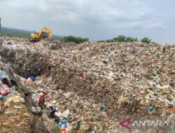 Pendapatan Asli Daerah dari penanganan sampah di Kota Bengkulu mencapai Rp259,93 juta