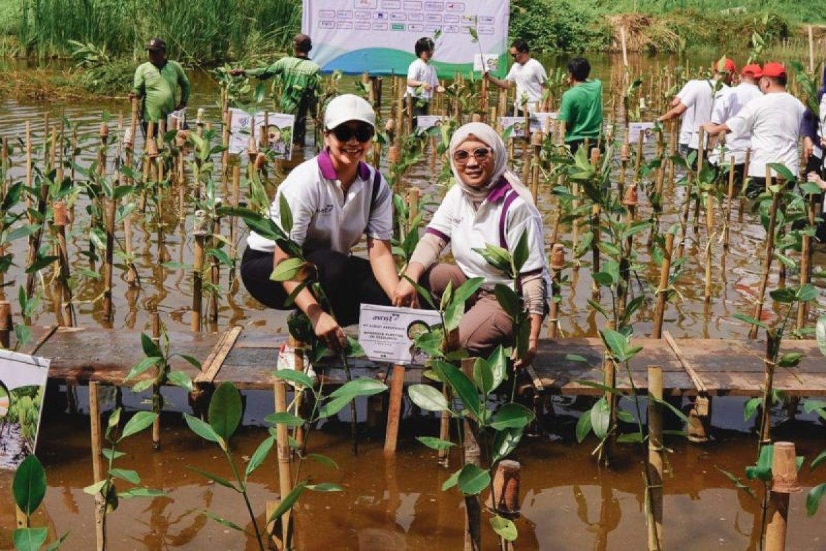 Avrist Assurance dan AAJI berupaya untuk mengurangi emisi demi mencapai Tujuan Pembangunan Berkelanjutan (SDG’s)