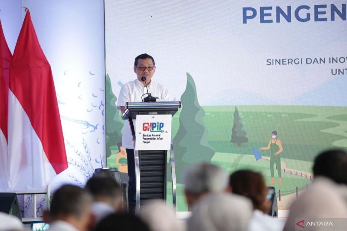 Kemenko Menyebut Pentingnya Pengendalian Inflasi di Sumatera Pasca Bencana