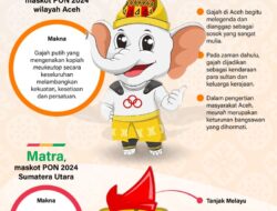 Maskot PON 2024 yang Berpasangan