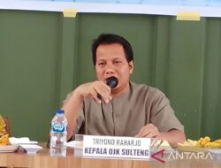 OJK Sulteng mencatat stabilitas kinerja keuangan Sulteng hingga April 2024