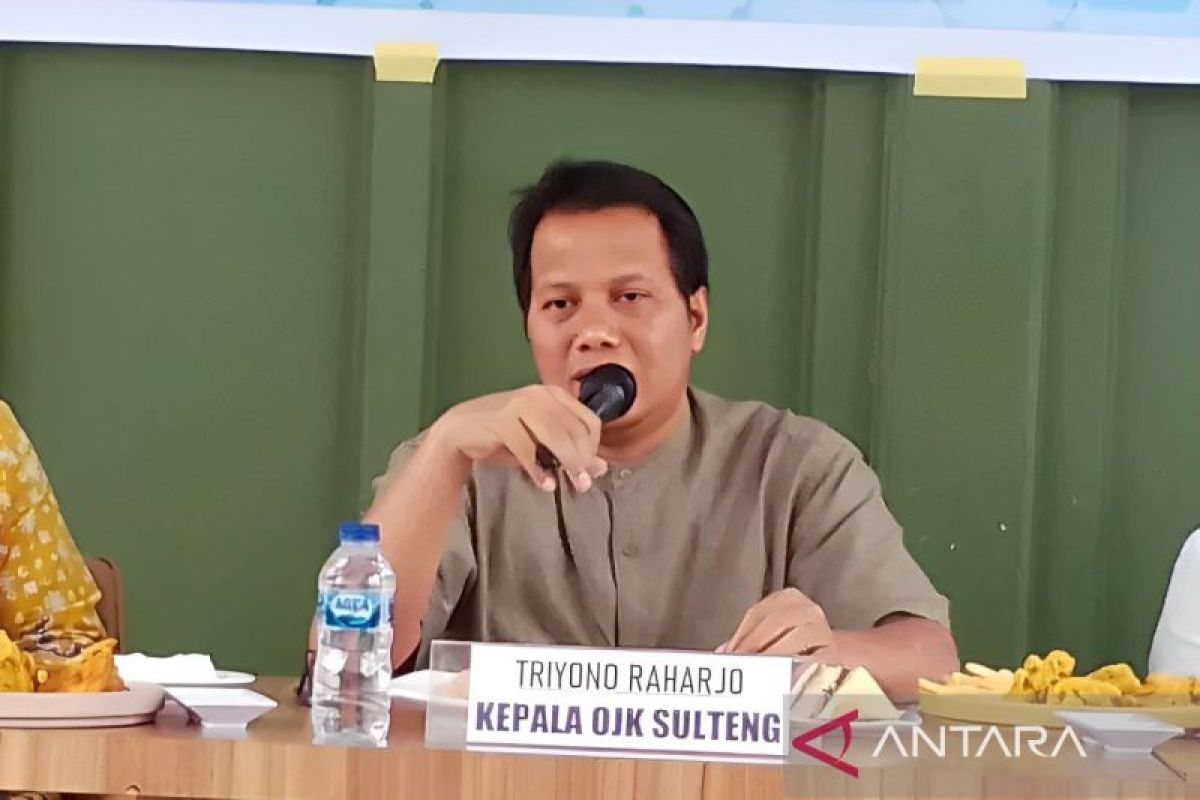 OJK Sulteng mencatat stabilitas kinerja keuangan Sulteng hingga April 2024