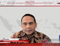 Pembiayaan “paylater” OJK meningkat 33,64 persen dibanding Mei 2023