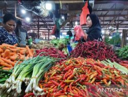 Inflasi di Provinsi Papua Mencapai 1,03 Persen pada Bulan Agustus Menurut BPS Papua