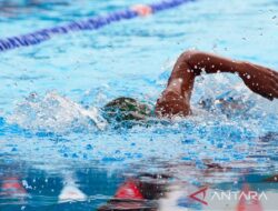 Tahapan latihan renang bagi para pemula