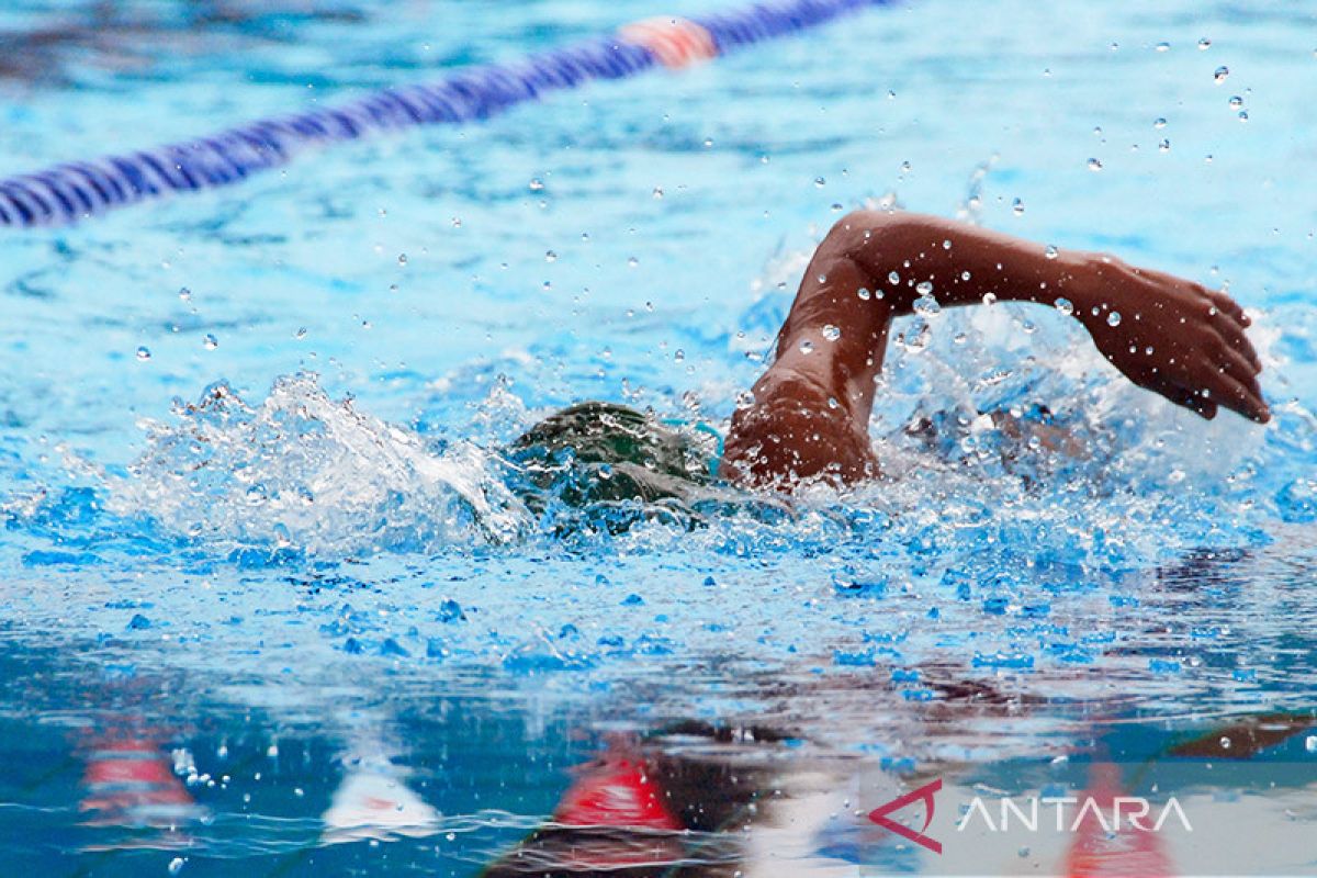 Tahapan latihan renang bagi para pemula