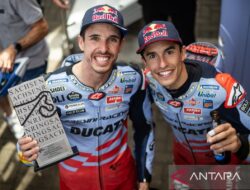 Profil Alex Marquez: Pembalap Muda Potensial dari Tim Satelit