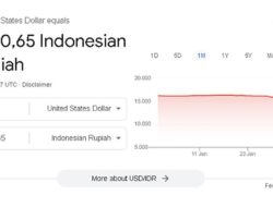 Kurs Dollar Turun Drastis, Peluang Investasi Menarik
