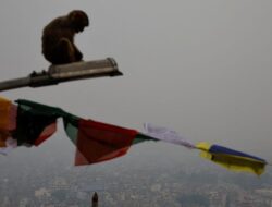Kathmandu: Polusi Udara Mencekik dan Dampak Berbulan-bulan