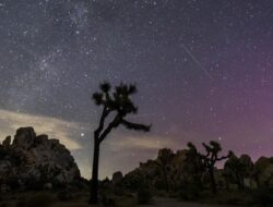 Fenomena Astronomi Mei 2025: Hujan Meteor & Micromoon