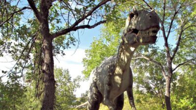 Nenek Moyang T-rex: Asal Asia Sampai ke Amerika