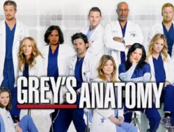 Series Medis Amerika Paling Populer Sebelum Resident Playbook