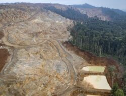 Penyelundupan Nikel Merusak Lingkungan di Halmahera