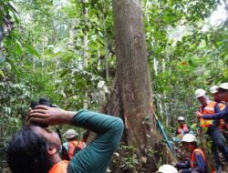 Kolaborasi BRIN YKAN Riset Satwa Langka Kalimantan Timur