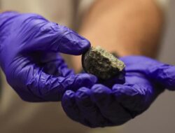 Peneliti Duga Meteorit Gurun Sahara dari Merkurius