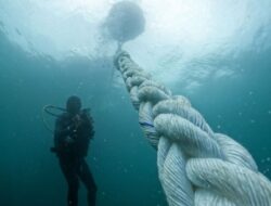 Manfaat Eksplorasi OceanX dalam Meningkatkan Perikanan Indonesia