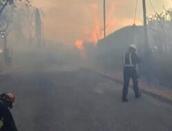 Kebakaran Hutan di Spanyol: 2.500 Hektare Lahan Terbakar