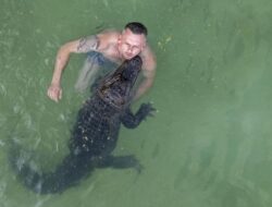 Pria Berani Pelihara Dan Berenang Dengan Aligator