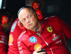 Steiner VS Vasseur: Analisis Kinerja Tanpa Kebiasan