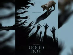 Good Boy: Film Horor dari POV Anjing