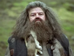 Sutradara Film Harry Potter Kritik Pedas Reboot HBO: Hagrid Baru Terlalu Mirip Versi Lama