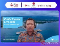Danantara Tertarik Investasi di 3 Proyek Vale Indonesia